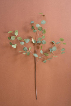 Botanica Silver Dollar Eucalyptus Stem full stem - faux plants by Kalalou - Whats New Furniture Portland OR