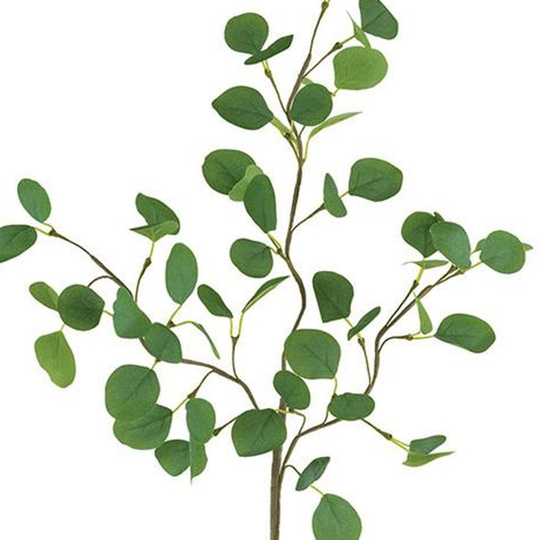 Botanica Silver Dollar Eucalyptus Stem leaf detail - faux plants by Kalalou - Whats New Furniture Portland OR