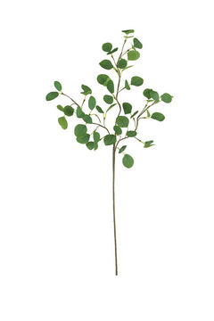 Botanica Silver Dollar Eucalyptus Stem on a studio background - faux plants by Kalalou - Whats New Furniture Portland OR