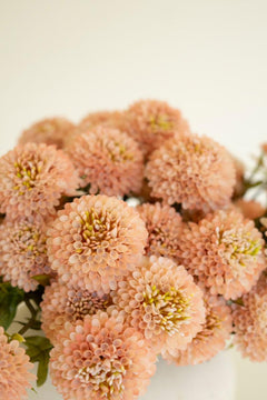 Bundle of 7 Faux Light Pink Ball Dahlias — view 8