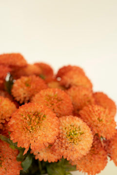 Bundle of 7 Faux Orange Ball Dahlias — view 6