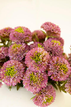 Bundle of 7 Faux Purple Ball Dahlias — view 7