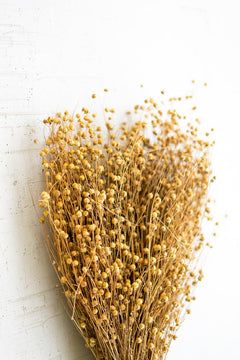 Bundle of Natural Lino Stems bundle - faux plants by Kalalou - Whats New Furniture Portland OR