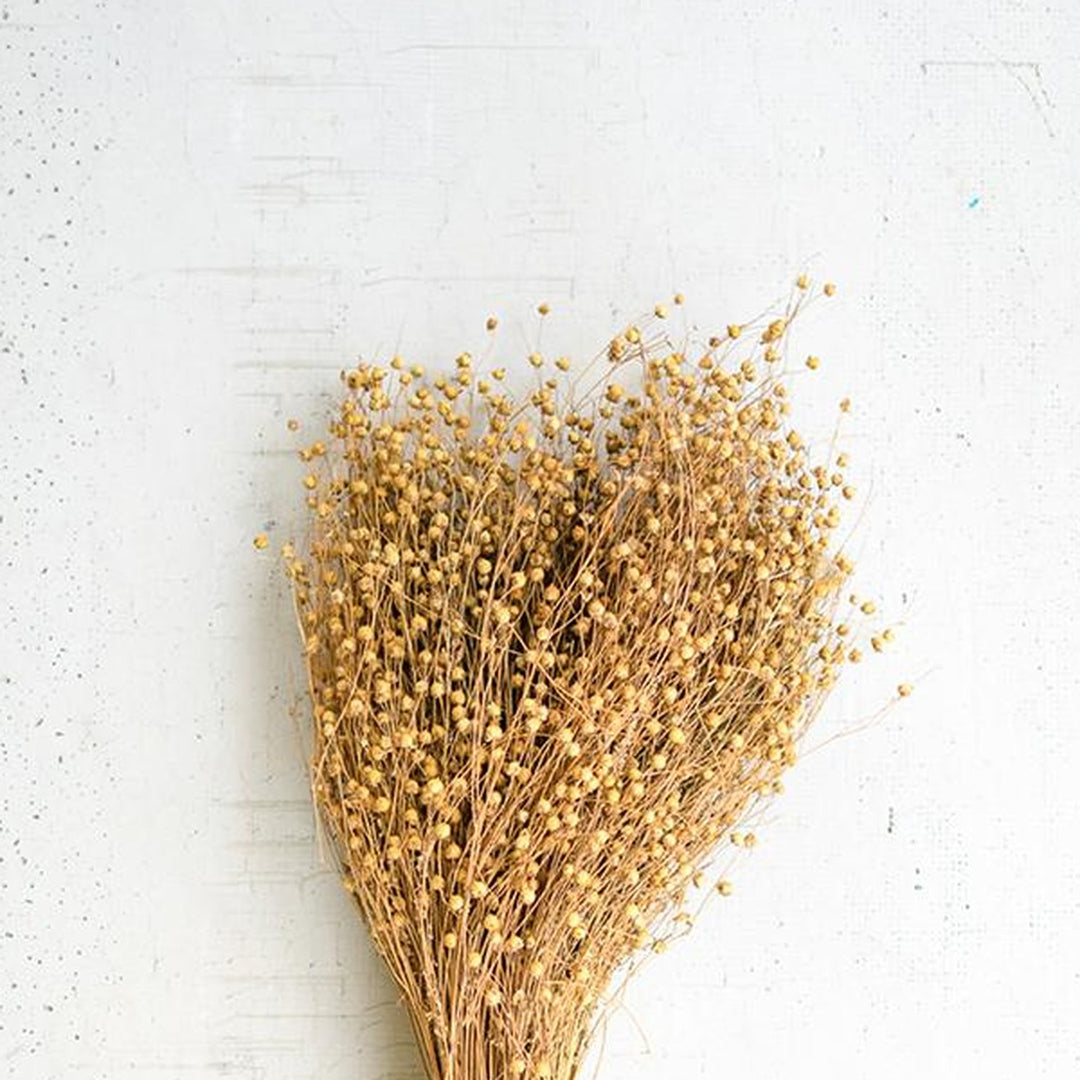 Bundle of Natural Lino Stems seed-head detail - faux plants by Kalalou - Whats New Furniture Portland OR