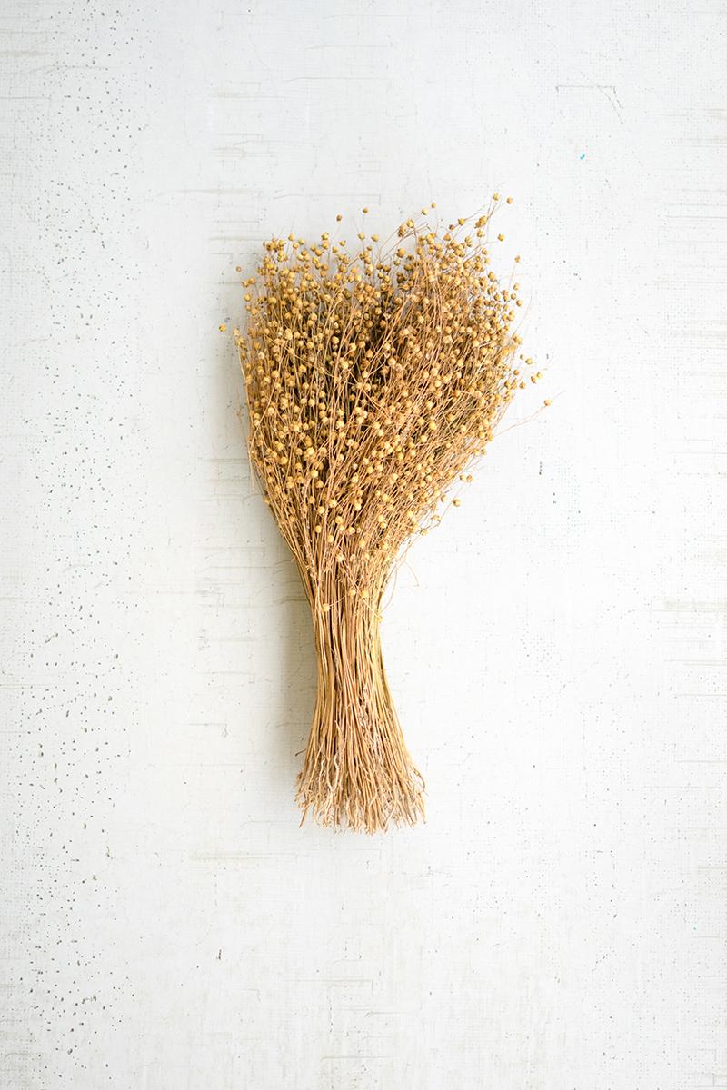 Bundle of Natural Lino Stems on a studio background - faux plants by Kalalou - Whats New Furniture Portland OR