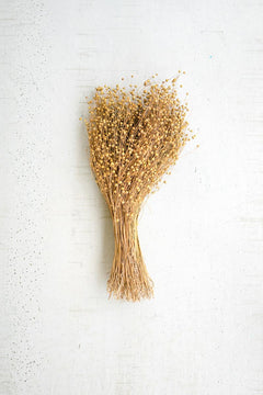 Bundle of Natural Lino Stems on a studio background - faux plants by Kalalou - Whats New Furniture Portland OR