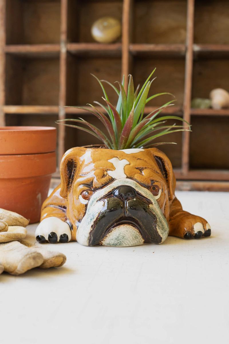 Ceramic Bulldog Planter — What&
