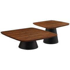 Eason 2-piece Coffee Table Set Walnut and Black - What&