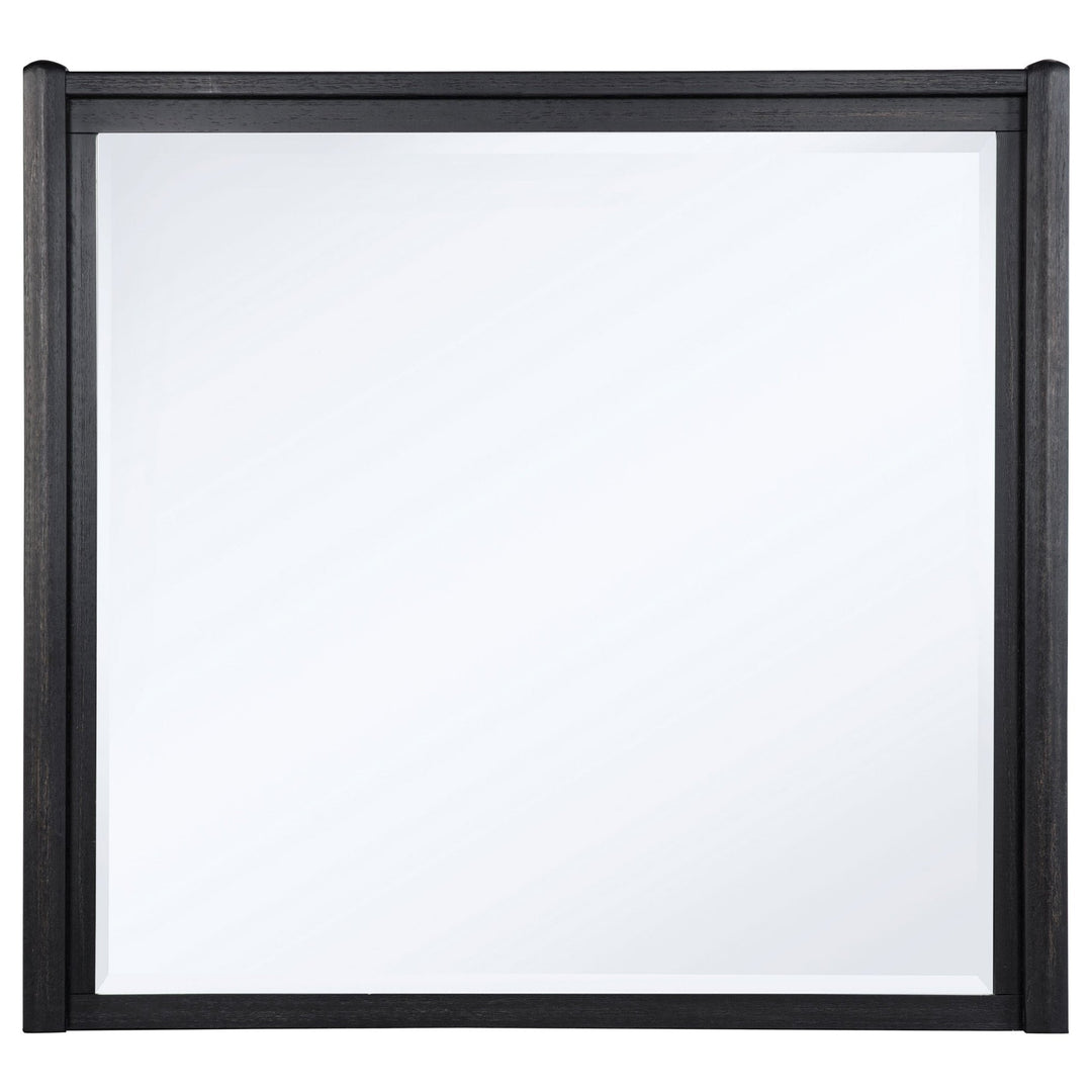 Leandro Dresser Mirror Burnished Black - What&