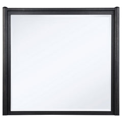 Leandro Dresser Mirror Burnished Black - What&