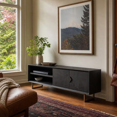 Marsden 2 Door Mango Wood 70 Inch Tv Stand Charcoal Black styled in Portland AlbertArts foursquare living room - What&