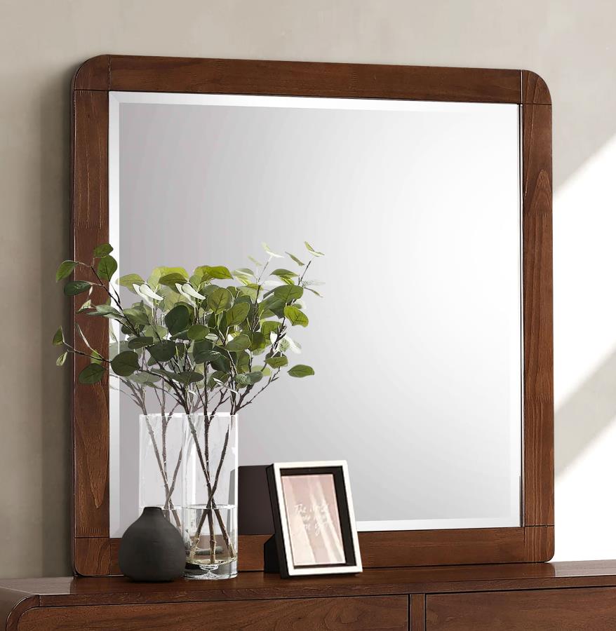 Robyn Dresser Mirror - What&