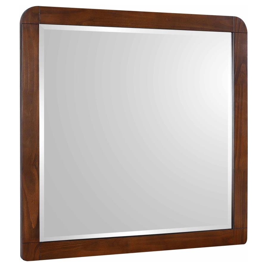 Robyn Dresser Mirror - What&