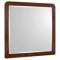 Robyn Dresser Mirror - What&