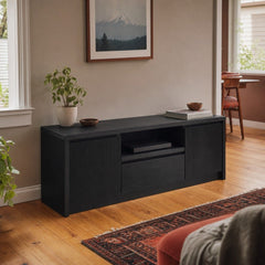 Winfield 60 Inch 2 Door Tv Stand Media Console Black styled in Portland AlbertArts foursquare living room - What&