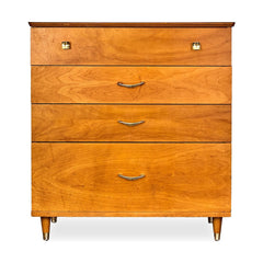 Mid - Century Modern Chest - Whats New Furniture - Portland, Oregon