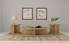Cortona 3-piece Coffee and End Table Set Mango - What&
