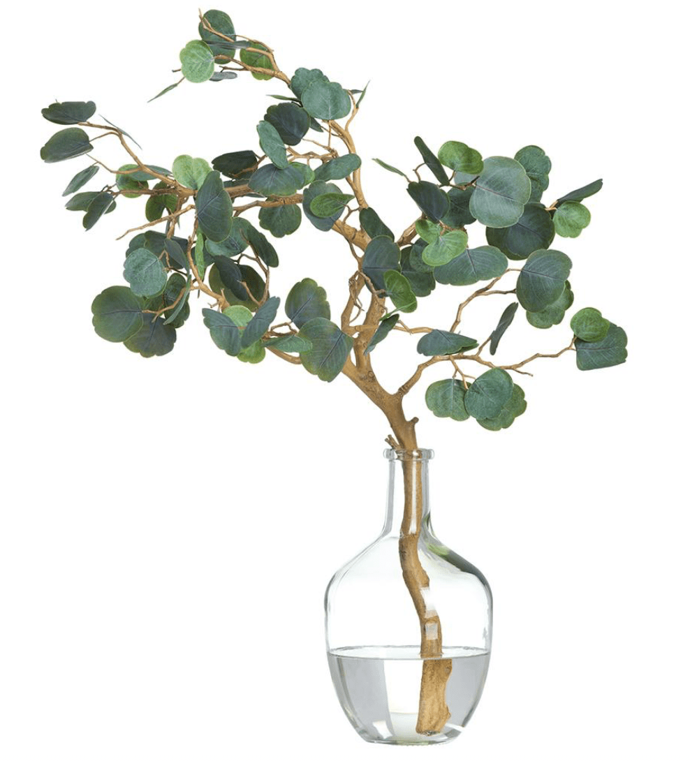 Cotinus Branch in Glass Bottle - faux botanical branch arrangement - Whats New Furniture Portland OR