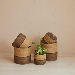 Decorative Woven Seagrass Baskets with Plastic Lining, Set of 5