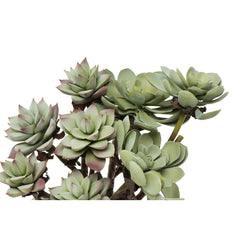 Faux Succulent Branch, 15.5-Inch — view 3