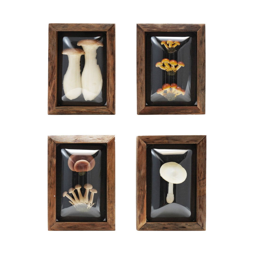 Framed Mushroom Shadow Box Wall Décor, 4 Styles front view - wall decor by Creative Co-Op - Whats New Furniture Portland OR