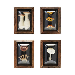 Framed Mushroom Shadow Box Wall Décor, 4 Styles front view - wall decor by Creative Co-Op - Whats New Furniture Portland OR