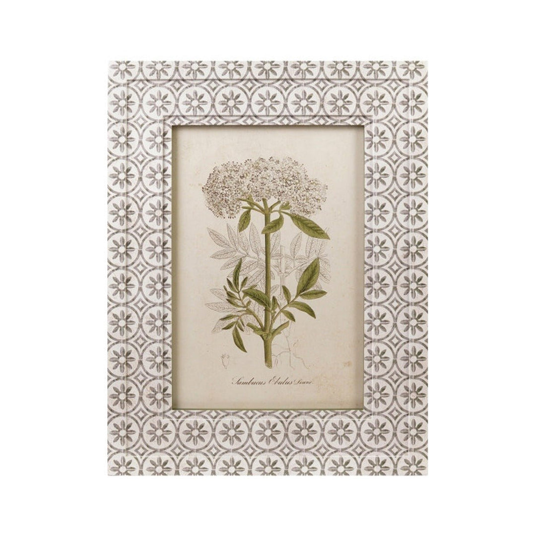 Framed Vintage Botanical Wall Art, Green &amp; White, 4 Styles style 2 shown on its own - wall art by Creative Co-Op - Whats New Furniture Portland OR