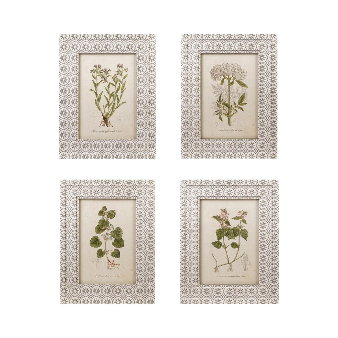 Framed Vintage Botanical Wall Art, Green &amp; White, 4 Styles front view - wall art by Creative Co-Op - Whats New Furniture Portland OR