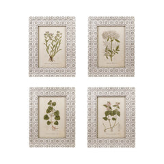 Framed Vintage Botanical Wall Art, Green &amp; White, 4 Styles front view - wall art by Creative Co-Op - Whats New Furniture Portland OR