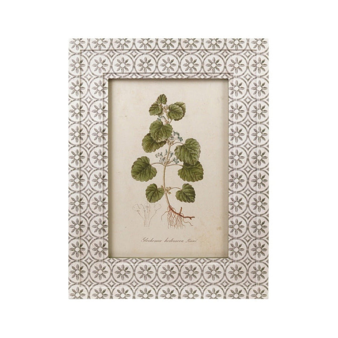 Framed Vintage Botanical Wall Art, Green &amp; White, 4 Styles style 3 shown on its own - wall art by Creative Co-Op - Whats New Furniture Portland OR