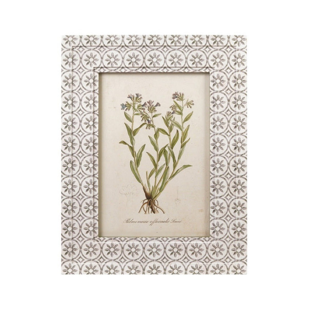 Framed Vintage Botanical Wall Art, Green &amp; White, 4 Styles style 1 shown on its own - wall art by Creative Co-Op - Whats New Furniture Portland OR
