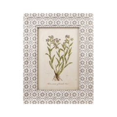 Framed Vintage Botanical Wall Art, Green &amp; White, 4 Styles style 1 shown on its own - wall art by Creative Co-Op - Whats New Furniture Portland OR