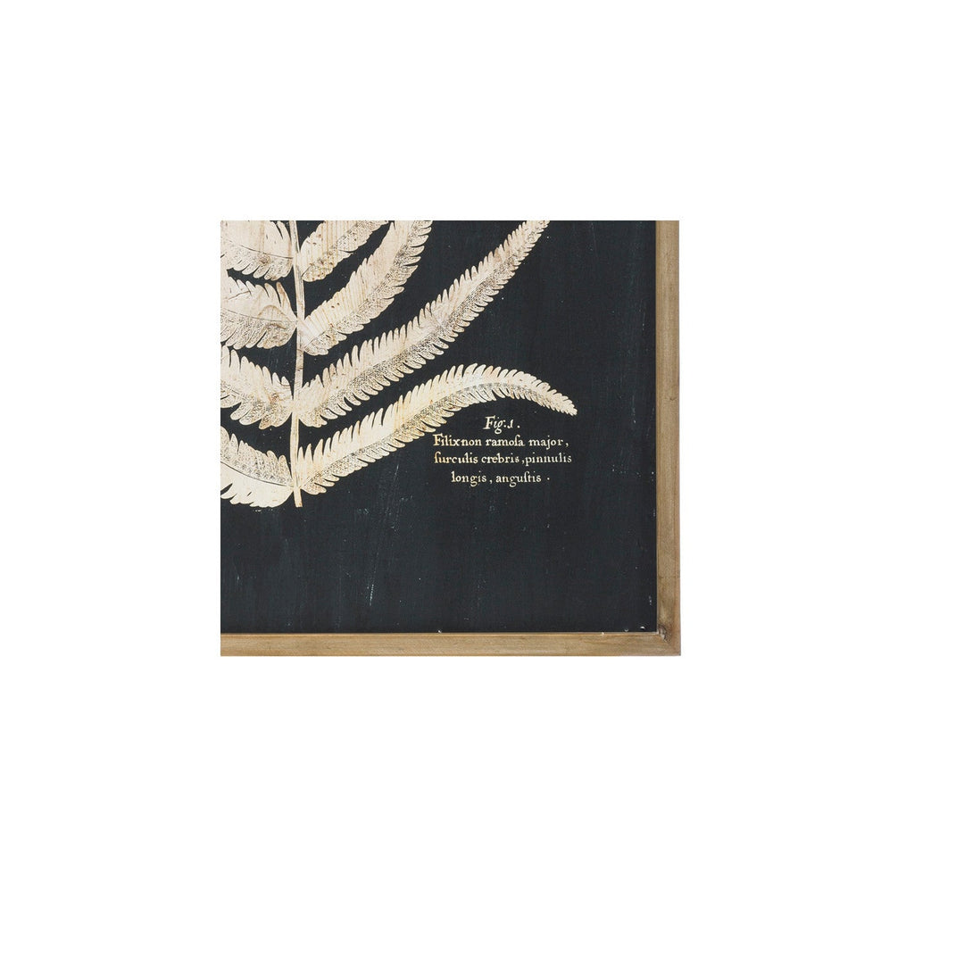 Laser-Cut Fern Framed Wall Art, Cream &amp; Black, 39", 2 Styles alternate view 4 - wall art by Creative Co-Op - Whats New Furniture Portland OR