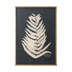 Laser-Cut Fern Framed Wall Art, Cream &amp; Black, 39", 2 Styles style 1 shown on its own - wall art by Creative Co-Op - Whats New Furniture Portland OR