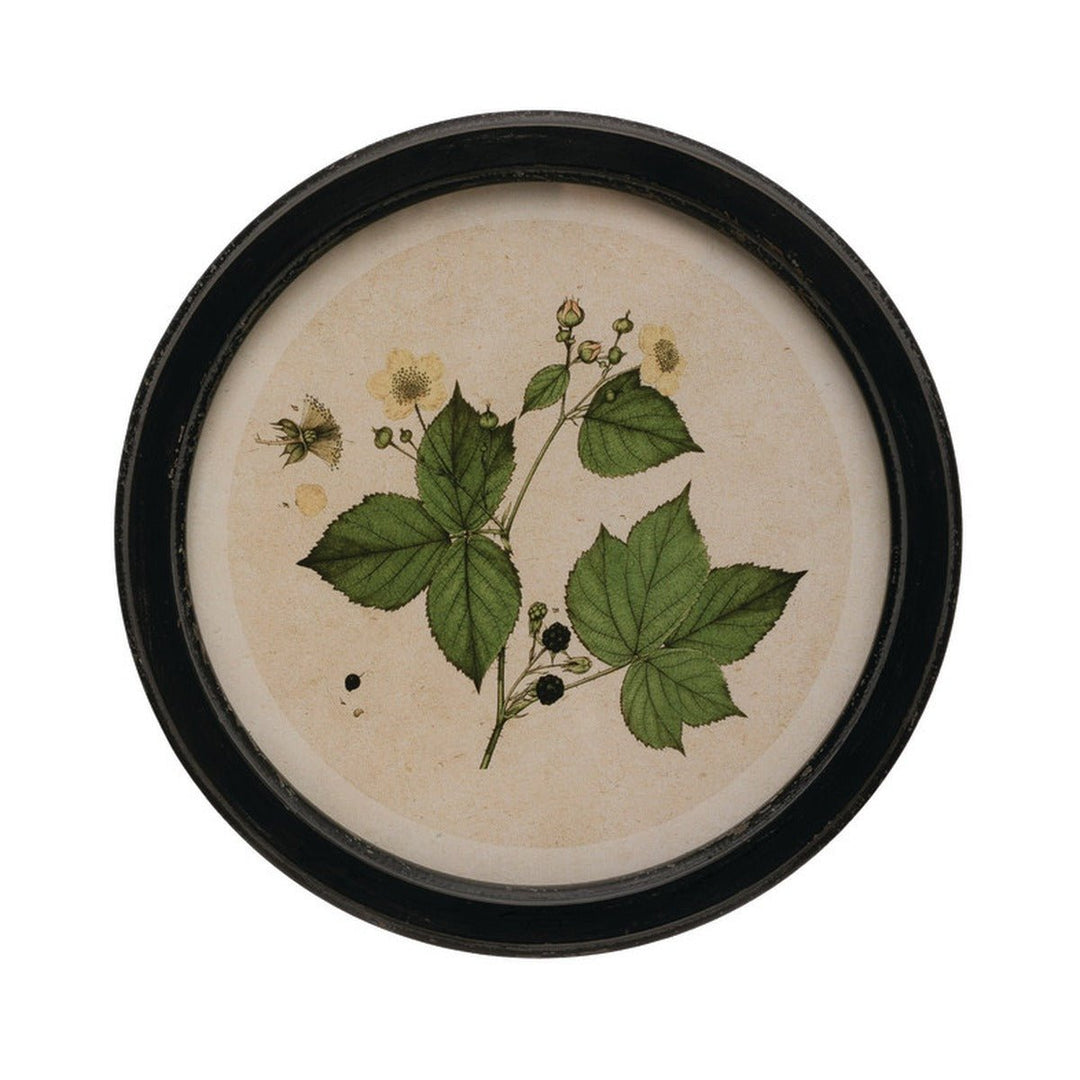Round Framed Botanical Print Wall Art, 13.75", 4 Styles style 2 shown on its own - wall art by Creative Co-Op - Whats New Furniture Portland OR