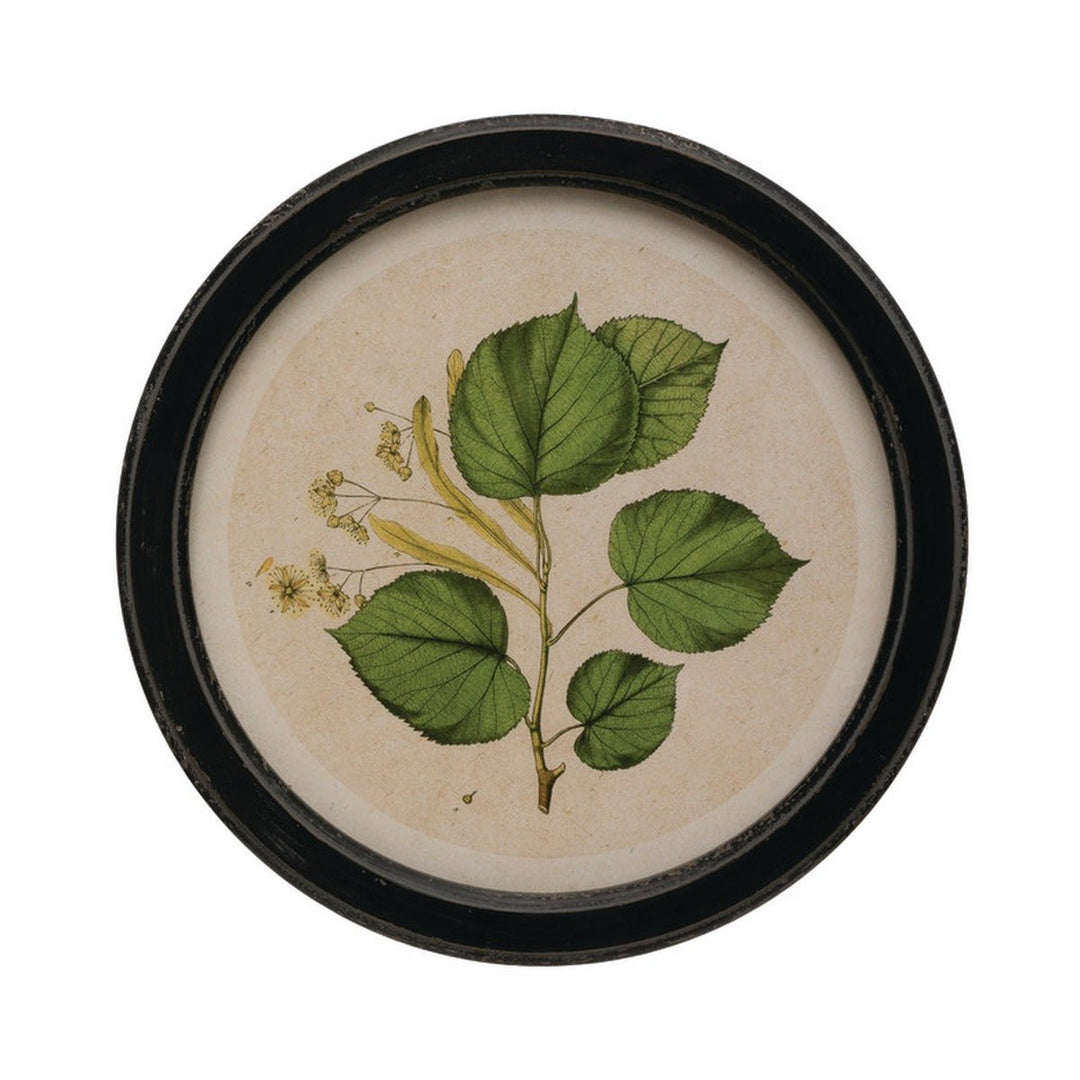 Round Framed Botanical Print Wall Art, 13.75", 4 Styles style 3 shown on its own - wall art by Creative Co-Op - Whats New Furniture Portland OR