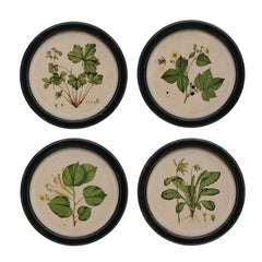 Round Framed Botanical Print Wall Art, 13.75", 4 Styles front view - wall art by Creative Co-Op - Whats New Furniture Portland OR