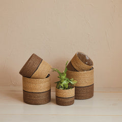 Woven Seagrass Basket 11-3/4" Round - styled woven seagrass baskets with a plant - Creative Co-Op - What&