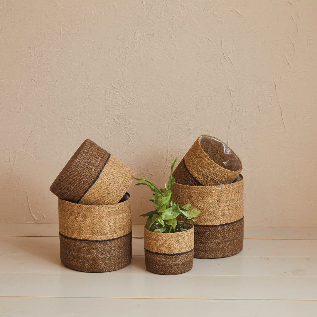 Woven Seagrass Basket 13-1/4" Round - styled woven seagrass baskets with a plant - Creative Co-Op - What&