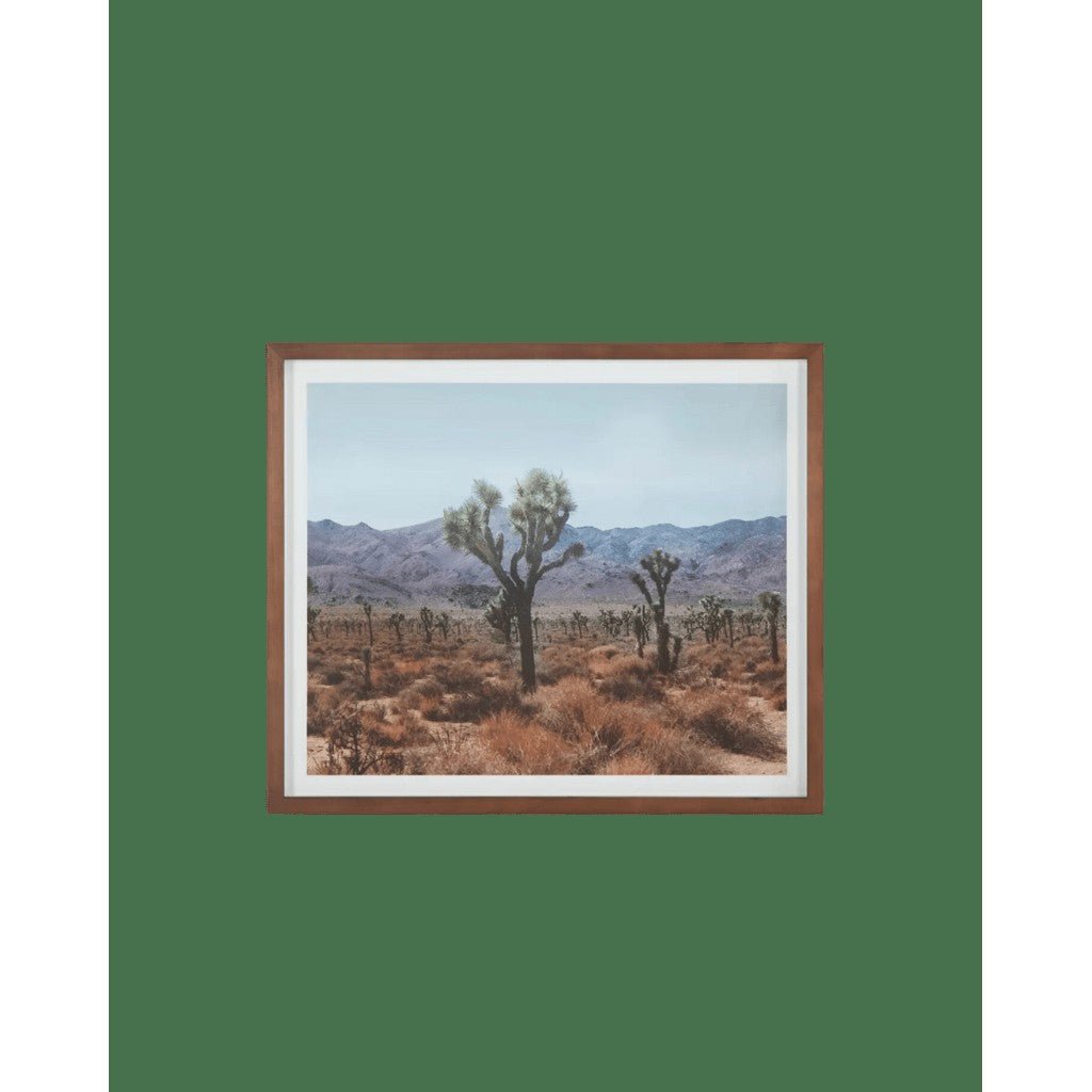 Desert Art - Whats New Furniture - Portland, Oregon