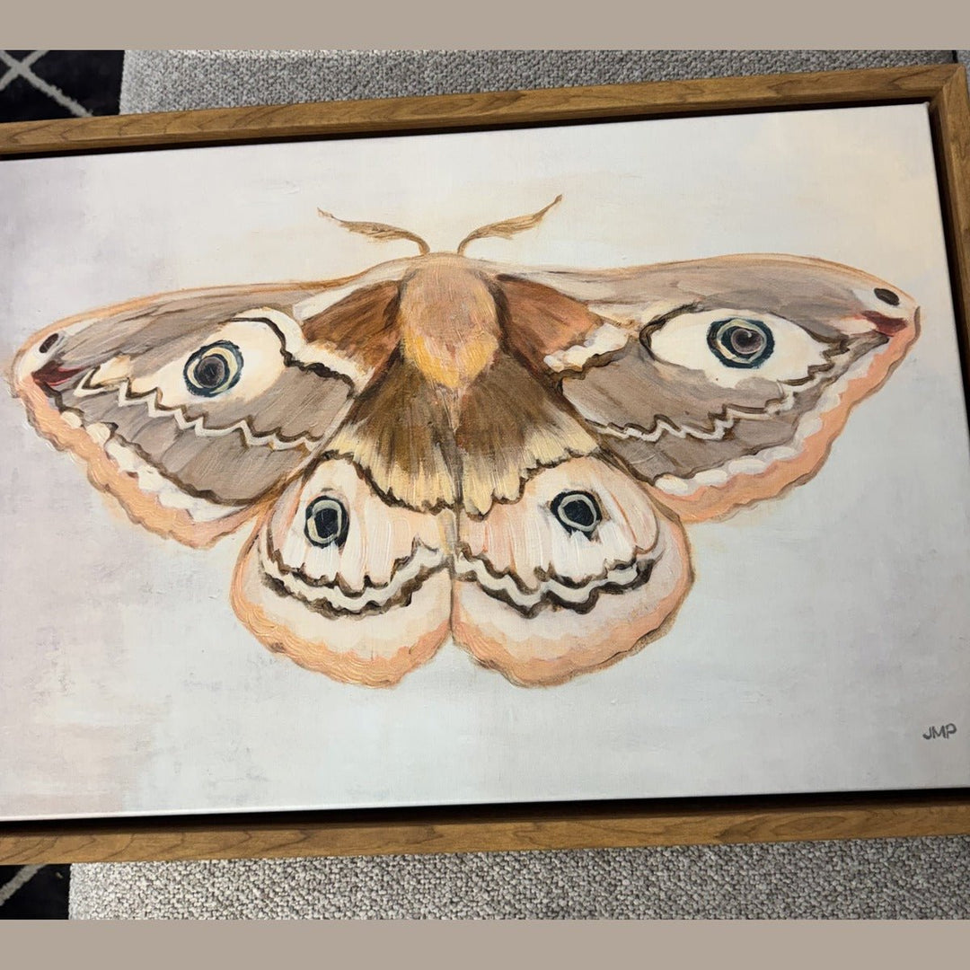Framed painting of an emperor moth in taupe and blush, in a natural wood floater frame - Whats New Furniture Portland OR