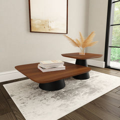 Eason 2-piece Coffee Table Set Walnut and Black - What&