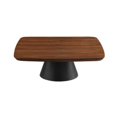 Eason 2-piece Coffee Table Set Walnut and Black - What&