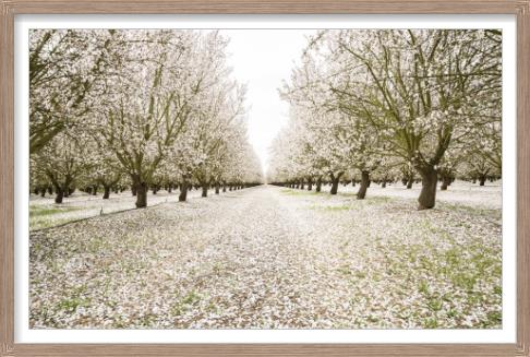 Entrance to Eden shown with its white linen mat and washed wood frame - glass framed photography by Leftbank - Whats New Furniture Portland OR