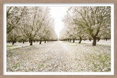 Entrance to Eden shown with its white linen mat and washed wood frame - glass framed photography by Leftbank - Whats New Furniture Portland OR