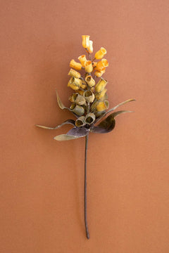 Faux Eucalyptus Pod Stem, 29-Inch Stem — What&