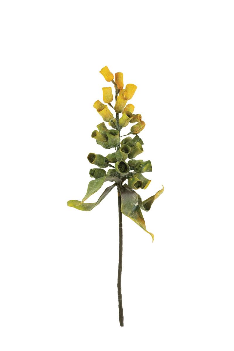Faux Eucalyptus Pod Stem, 29-Inch Stem — view 4