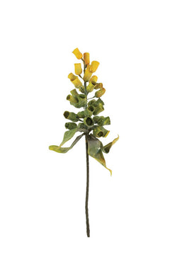 Faux Eucalyptus Pod Stem, 29-Inch Stem — view 4