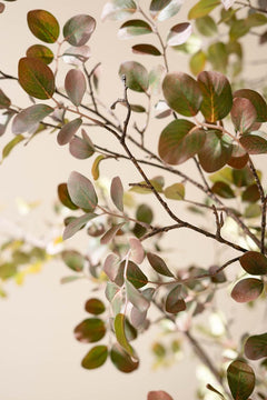 Faux Crepe Myrtle Tree in Black Pot — detail view 2