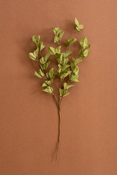 Faux Eucalyptus Stems, 26.5-Inch Stem — view 4
